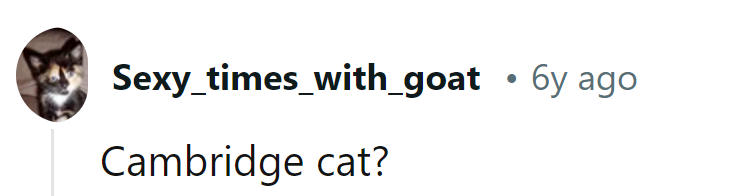 More like Cat-bridge! The smartest furball on campus.