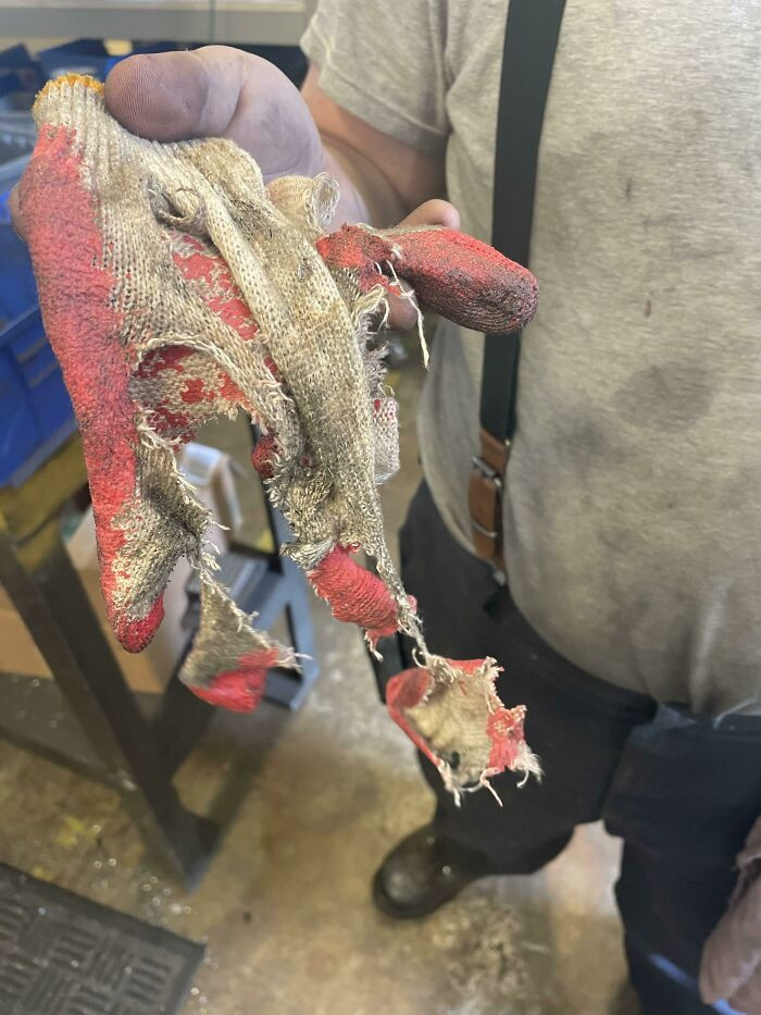 36. I’m Not Sure How Many Times I Have Told Coworkers This: Never Wear Gloves Near A Spindle Or A Belt