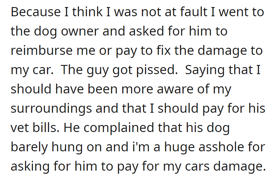 OP asked the dog owner to cover car damage; he got upset, demanded vet bills, and labeled the person an 