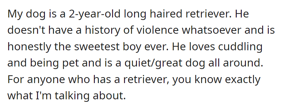 OP's 2-year-old long-haired retriever is gentle, loving, and well-behaved, typical of the breed's characteristics.