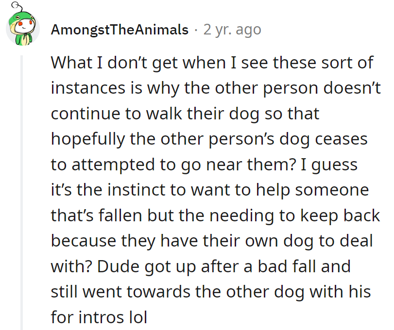 Looks like he turned a stumble into a doggy introduction marathon!