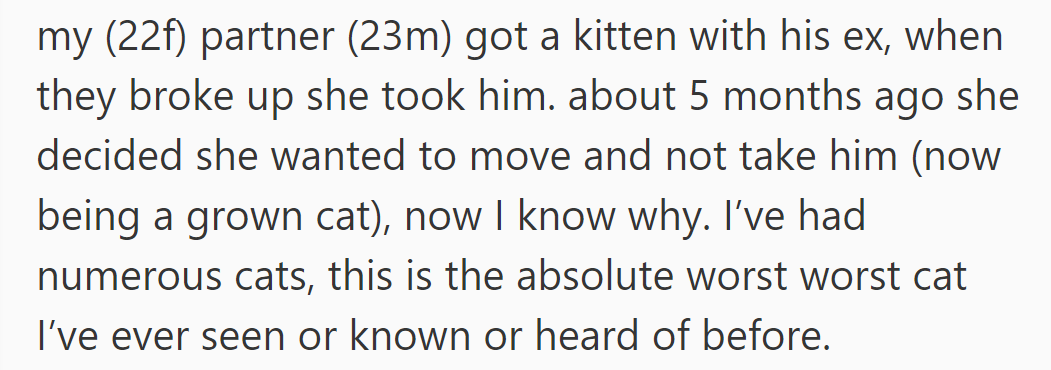 OP's partner's ex took their kitten post-breakup but returned it later. The cat's behavior now poses a serious challenge for OP.