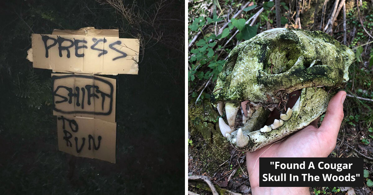 50 Astonishing Discoveries People Made While Walking Through The Woods