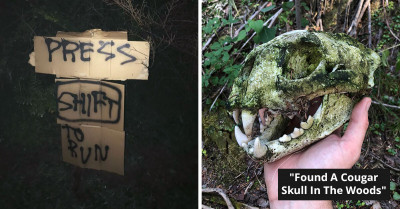 50 Astonishing Discoveries People Made While Walking Through The Woods