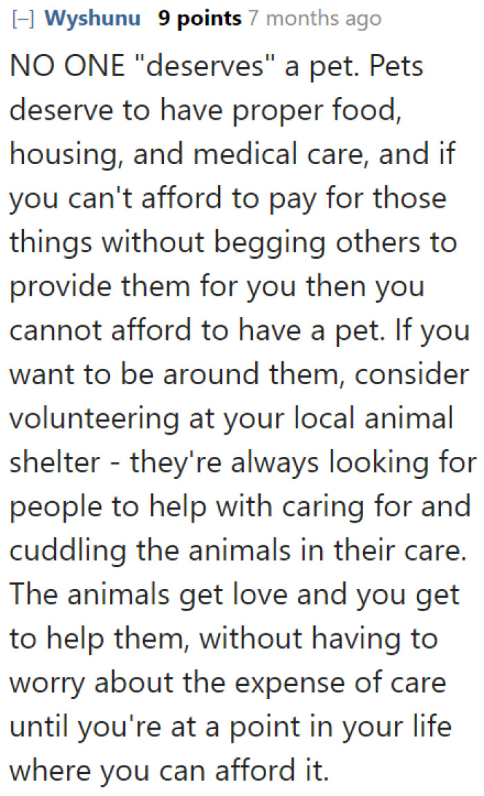 Only get a pet when you can actually provide for them. They're living beings that deserve all the care they need.