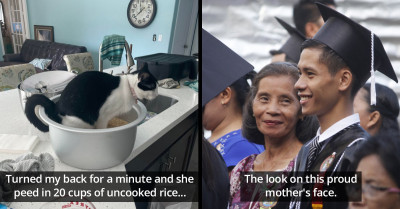 55 Pictures To Prove That A Picture Is Worth 1,000 Words