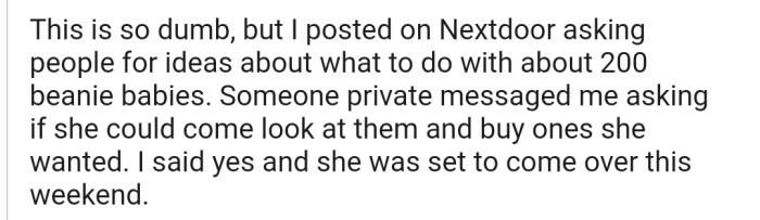 OP Agreed to Meet Up with Their Neighbor to Sell Some Beanie Babies to Them