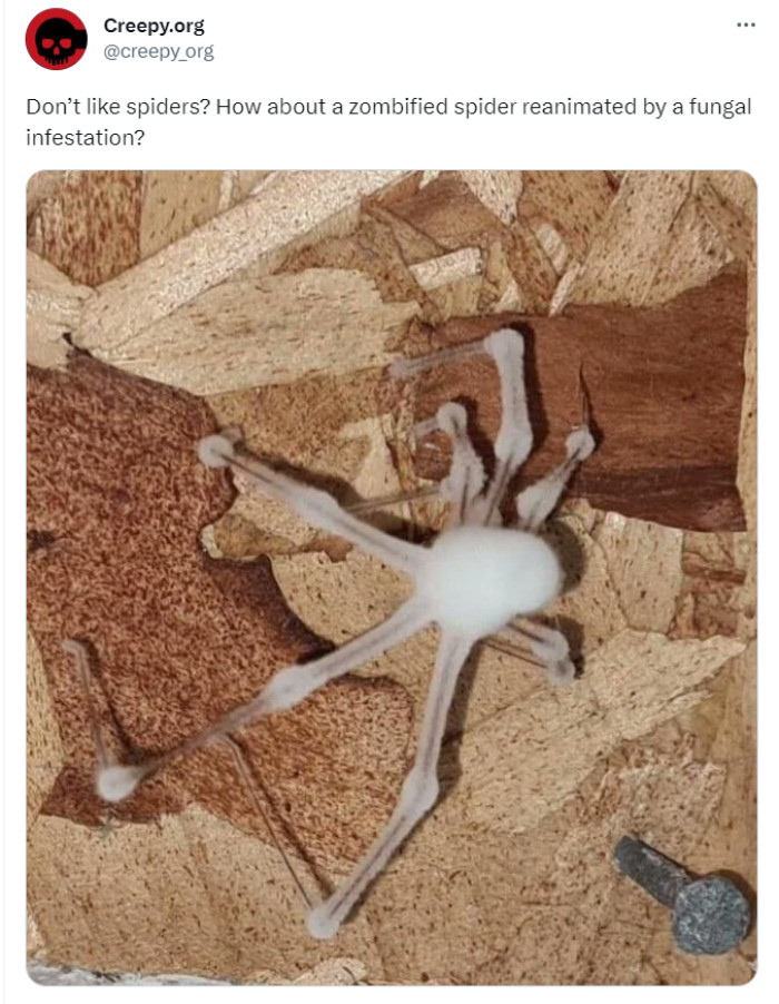 32. No, can't say I like those either