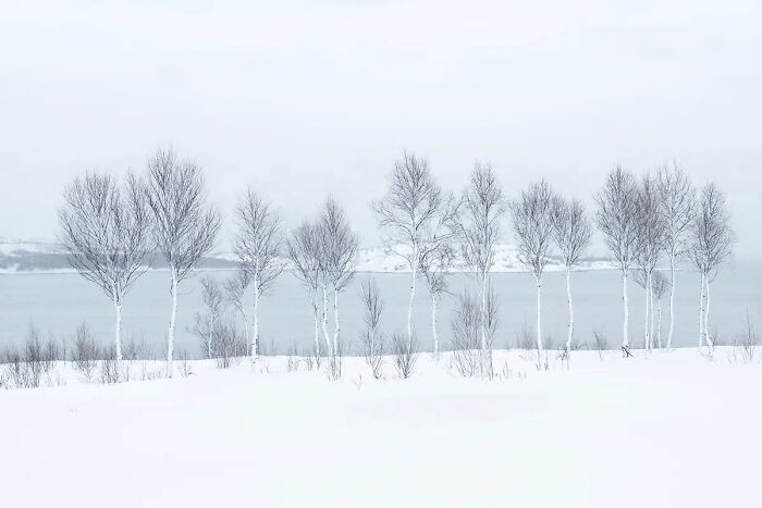 Photographer Of The Year Overall Winner: Snowy Landscape In The Fjords Of Norway, By J. fritz Rumpf