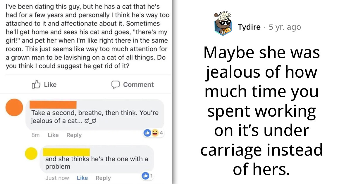Girl Gets Frustrated Over Boyfriend Giving His Pet Cat More Attention Than Her, Wants To Get Rid Of It