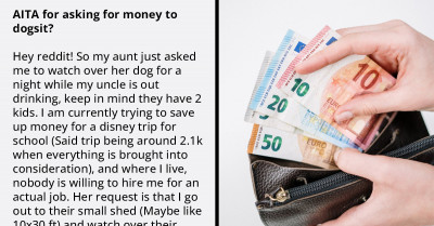 Aunt Asks Redditor Who Needs Money For A Trip To Disneyland To Dogsit In A Cold Shed With No Plumbing And Refuses To Pay Them