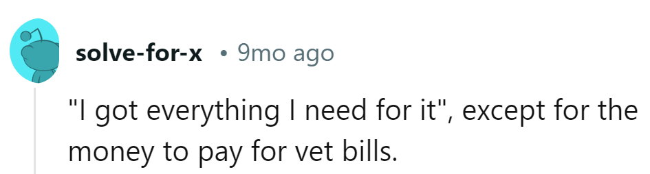 Ready for pet parenthood, just missing the vet bill jackpot!