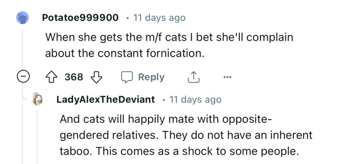 Apparently, heterosexual cats still need to mate. We’re guessing the cat parent will back here complaining about “fornication” soon