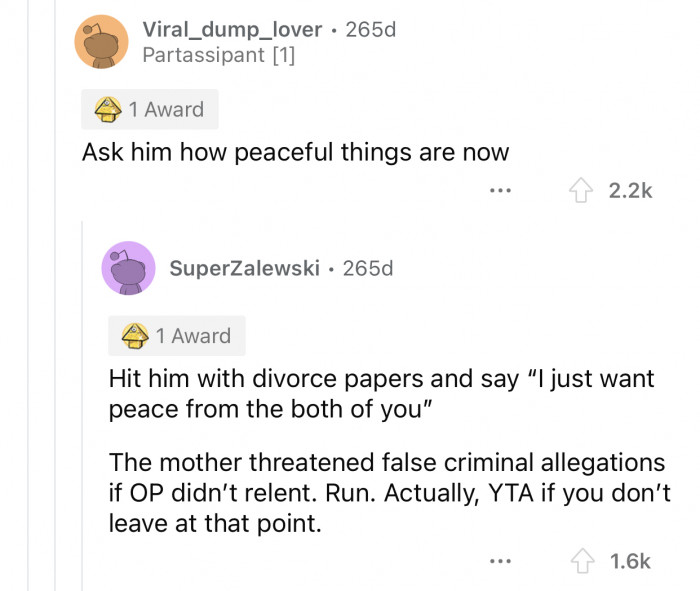 The mother's false criminal allegations prove what kind of person she is.