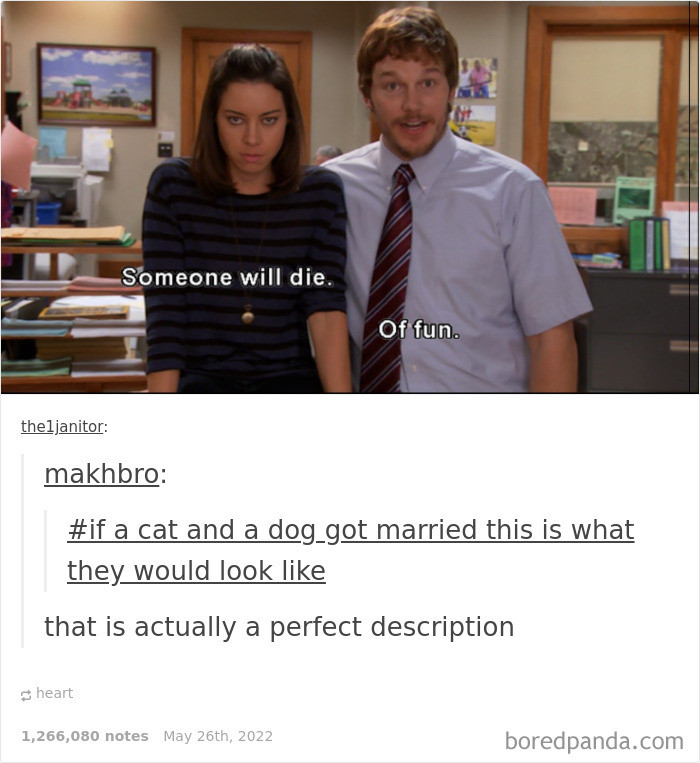 47. A perfect description