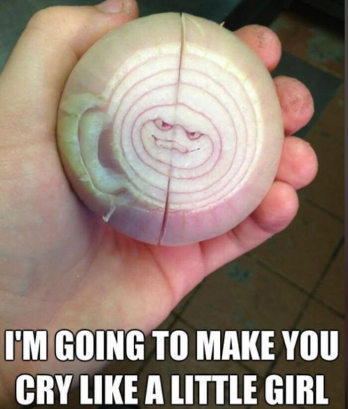 "Malevolent Onion—Tears Are Inevitable"