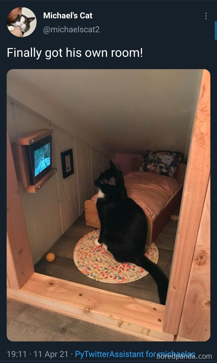 "Watching 10 Pm Mews"