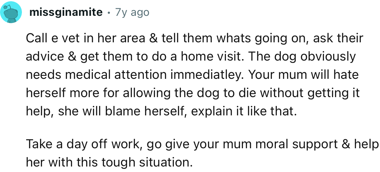 “Call the vet in her area and tell them what's going on; ask for their advice and get them to do a home visit.”
