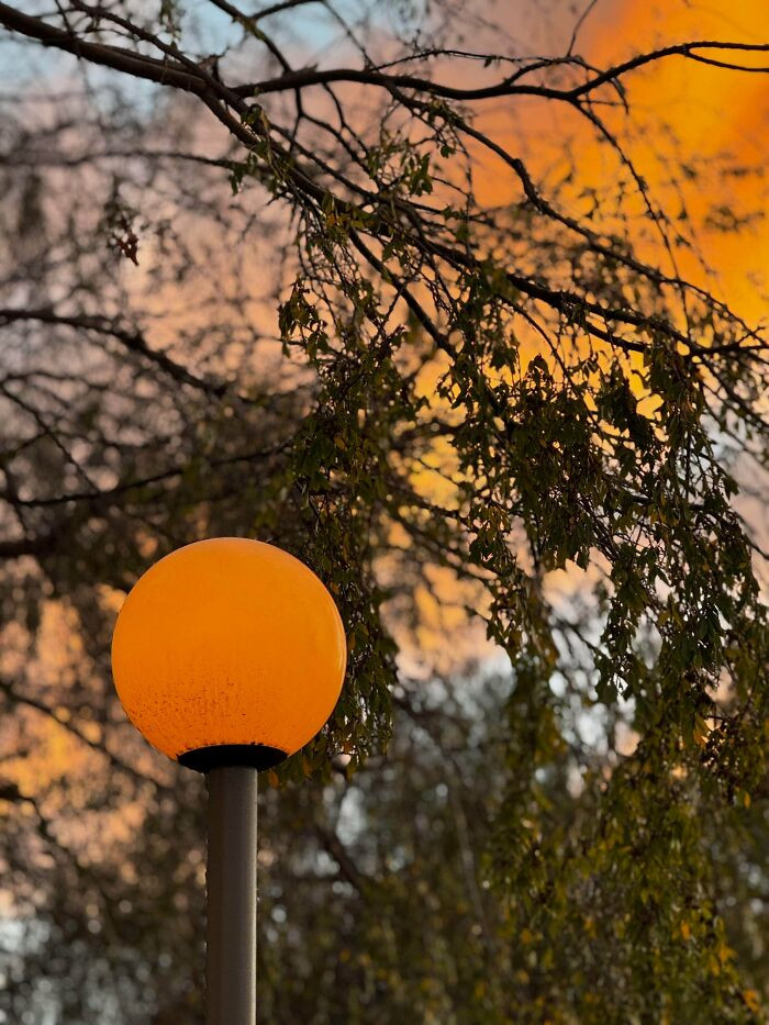 "This Light Post And The Sunset Clouds 1/1/26"