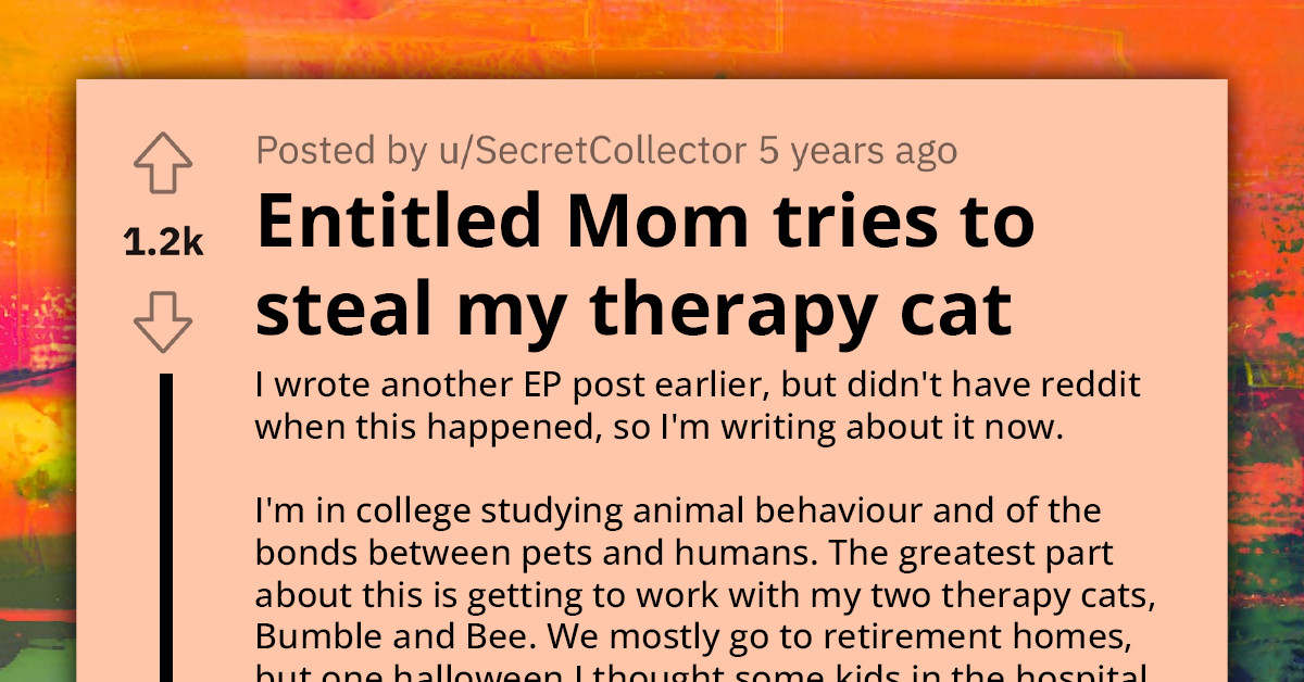 Entitled Mother Tries To Steal College Student's Therapy Cat In Hospital, Says Her Daughter Deserves It