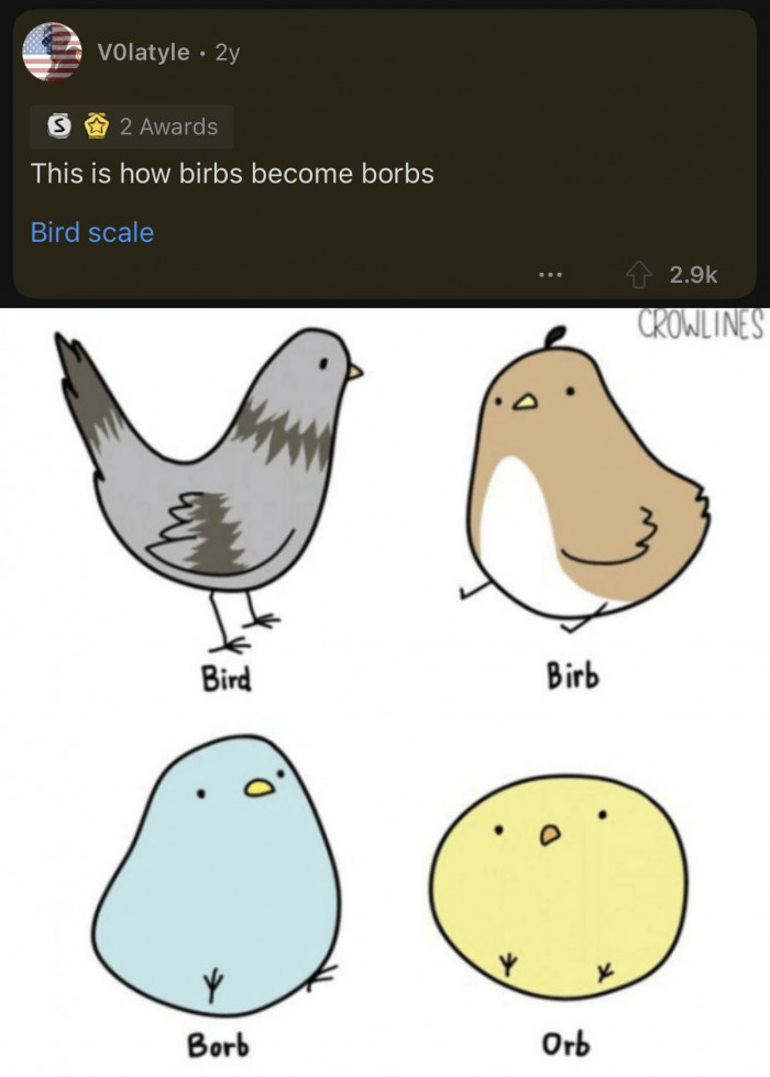 This is the only bird scale that you should care about.