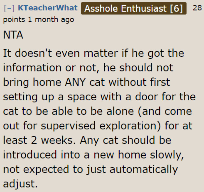 The husband made a huge mistake by not considering the cat's needs before adopting it. Now, he's facing the problems that come with a stressed cat.