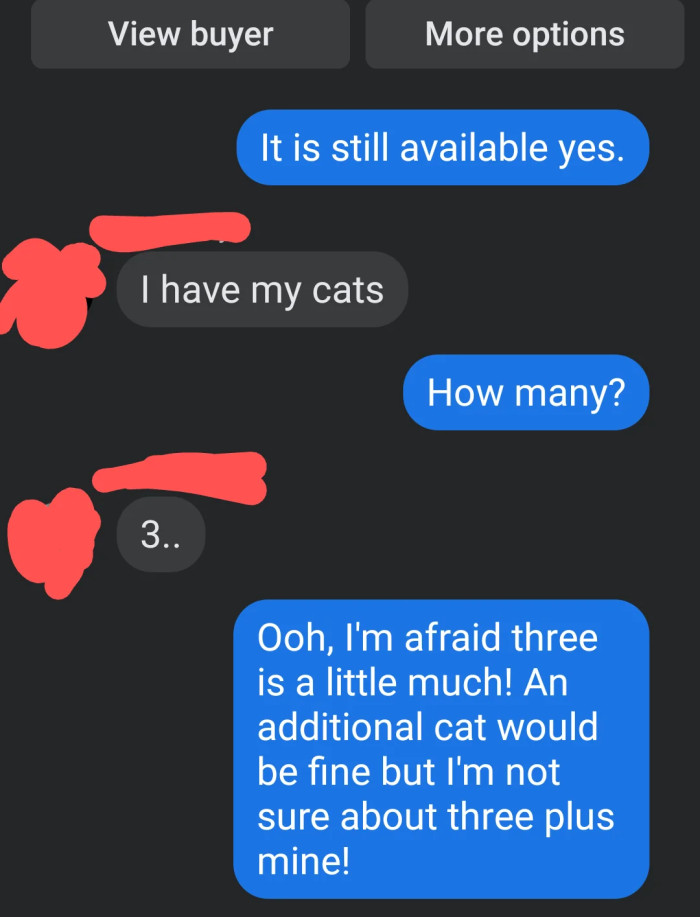 OP’s conversation with the “cat lady”