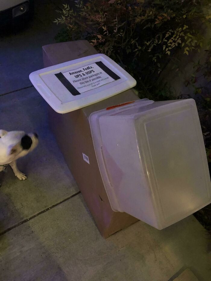 "My UPS Driver Followed The Instructions Perfectly"