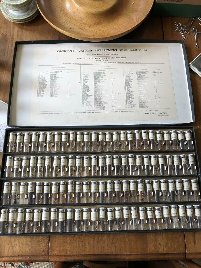 13. An entire collection of seeds, nicely bottled up, was found in grandma's attic