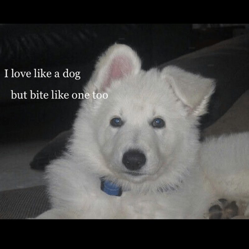 19. Consider yourself warned.