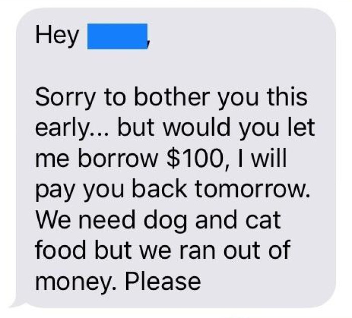 The OP received a message from his friend asking him for $100 to buy pet food.