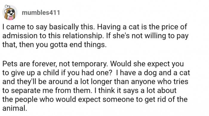 Having a cat is part of dating OP