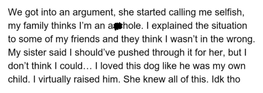 OP argued with her sister who said she was selfish because OP loved her dog like family, which her sister knew. Now OP's family is upset with her, but OP's friends think she did nothing wrong.