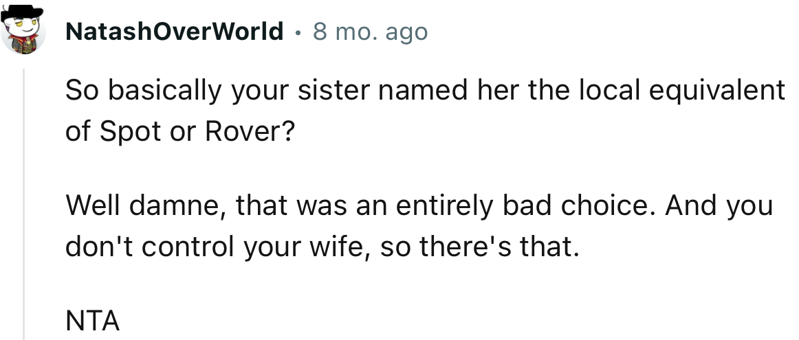 “NTA… So basically your sister named her the local equivalent of Spot or Rover?”