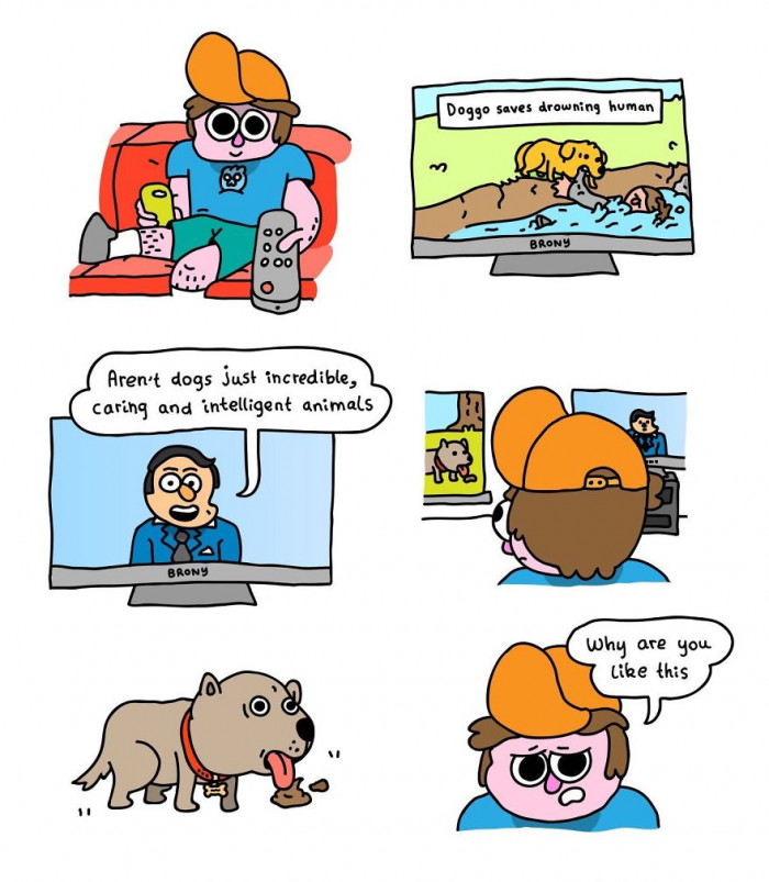 4. They're Both Some of the Smartest and Dumbest Creatures at the Same Time