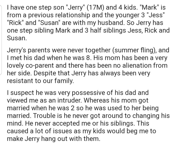 OP explained that her stepson (Jerry) has always been resistant to their family, as he saw her as an intruder.