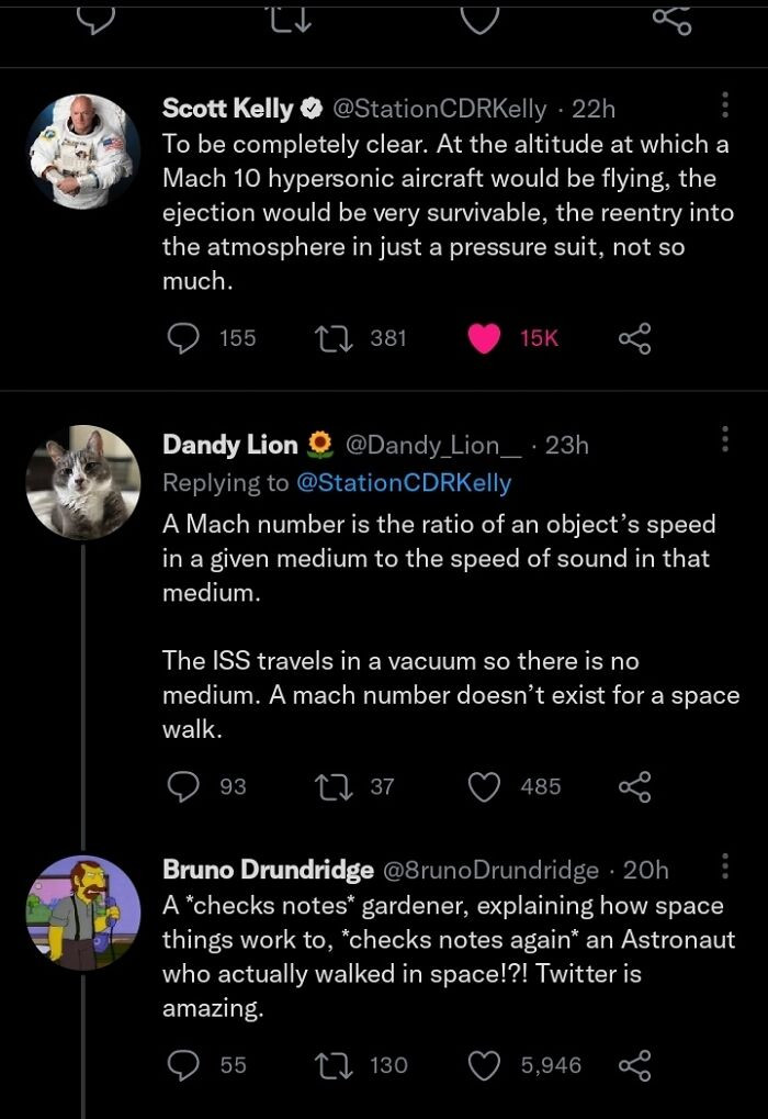 2. Random Person Explaining To An Astronaut How Space Works