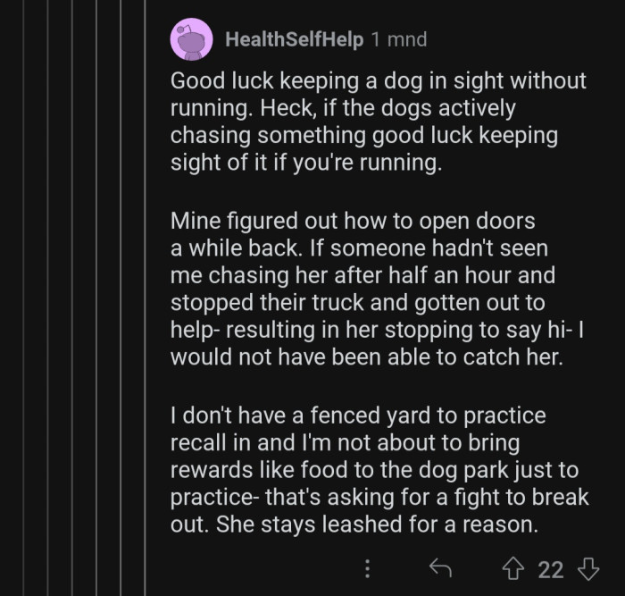 Even while chasing a dog, it's tricky to keep them in-sight.
