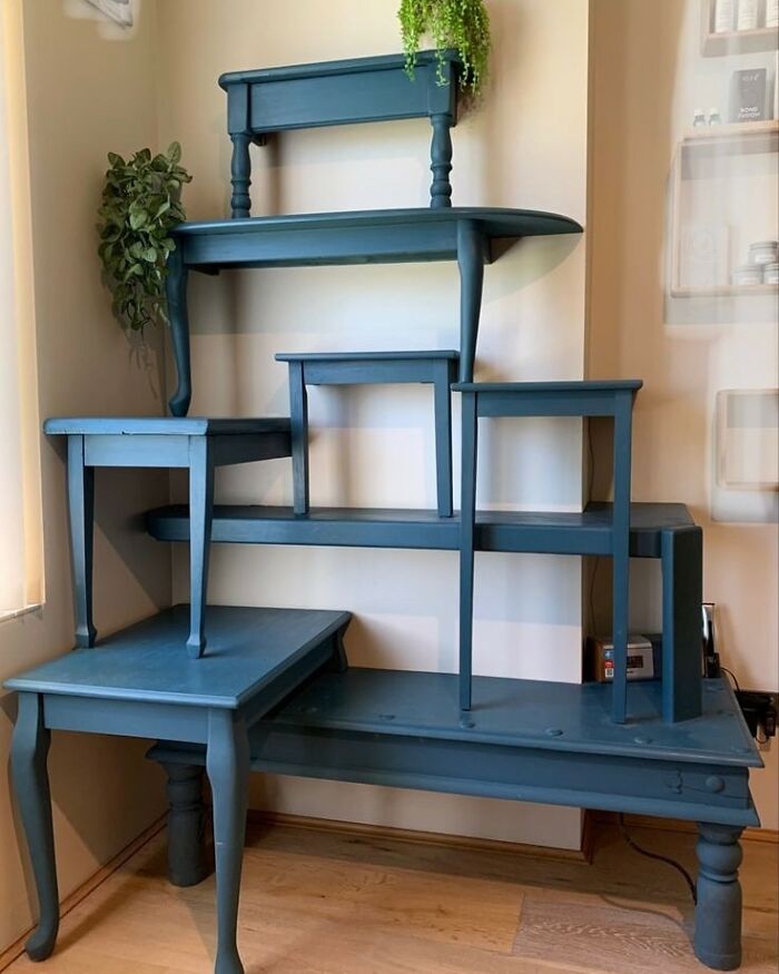Cats would love this