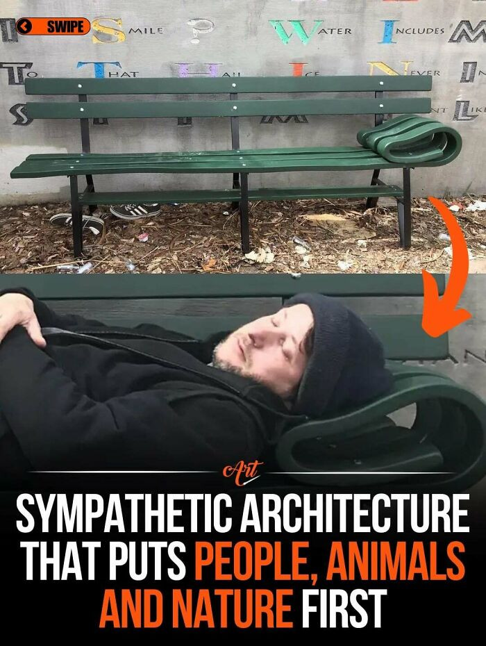 "Design That Puts People, Animals, And Nature First"
