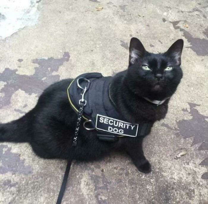 29. Looks About Right 👍