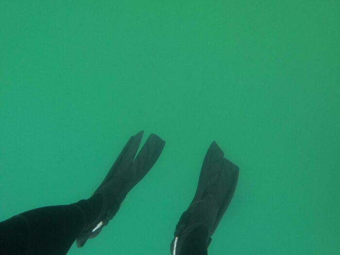 "The Reef Dropped Off Into This Abyssal Green Nothingness"
