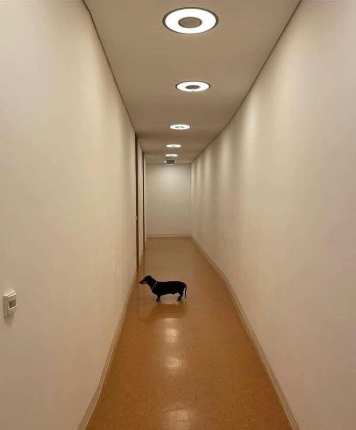 24. You missed the door, little fella.