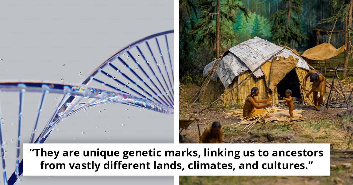 Ancient DNA Discovery Reshapes the Story of Human Migration