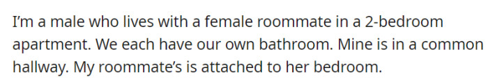 In their 2-bedroom apartment, OP cohabits with a female roommate, each enjoying separate bathrooms.