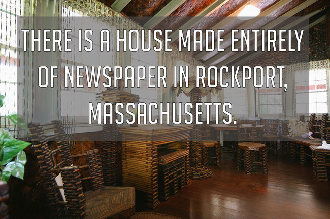 9. Now I'm wondering what would happen if it were to rain?