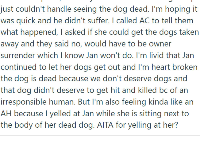 In the aftermath, OP confronted Jan, blaming her for the dog's preventable death.