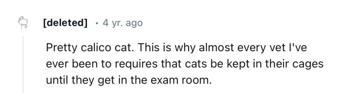 Now we know why a lot of vets prefer cats to stay in their cages till it’s time to get checked