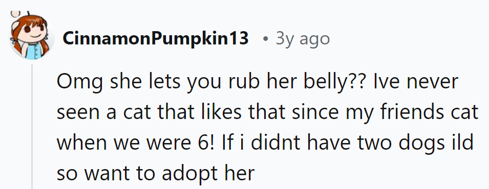 Cat with a belly rub fetish? Rare breed indeed!