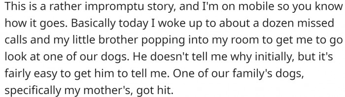 OP woke up to a dozen missed calls and her brother telling her to go check on their dogs. It turned out that their mom's dog had been hit.